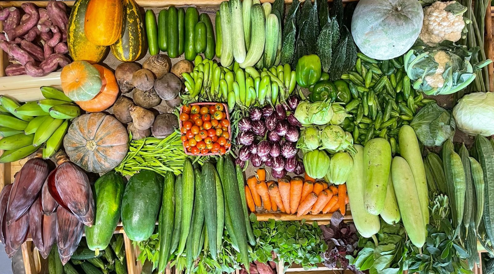 Fresh organic vegetables at QFarmers